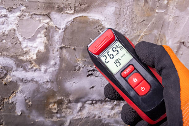 Best Mold Remediation  in Crooked Lake Park, FL
